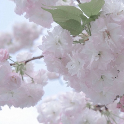 Furry色彩搭配技巧兽圈群